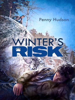 cover image of Winter's Risk